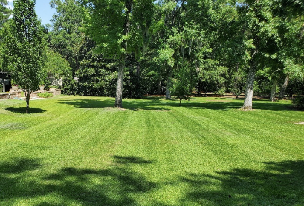 Striped lawn care