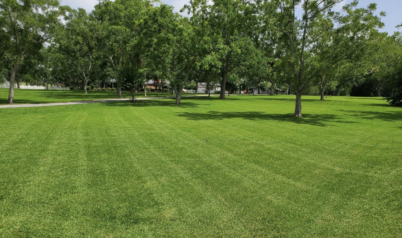 Large property maintenance