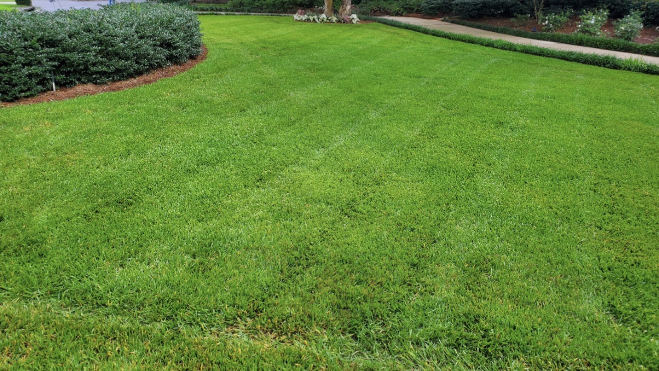 Freshly maintained lawn and landscape beds