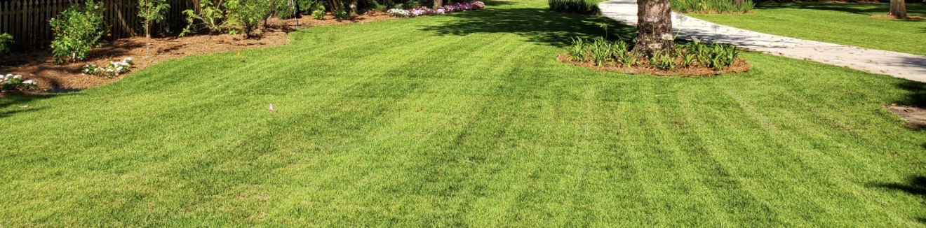 Detailed residential mowing